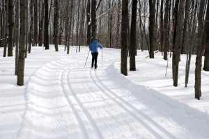 Cross-country skiing along trails maintained by the Black River Environmental Improvement Association has become a winter favorite in Oneida County.